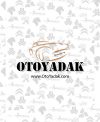 واشر سرسیلندر موتور پژو 405